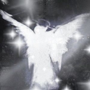 Meet your Posher, Dillon